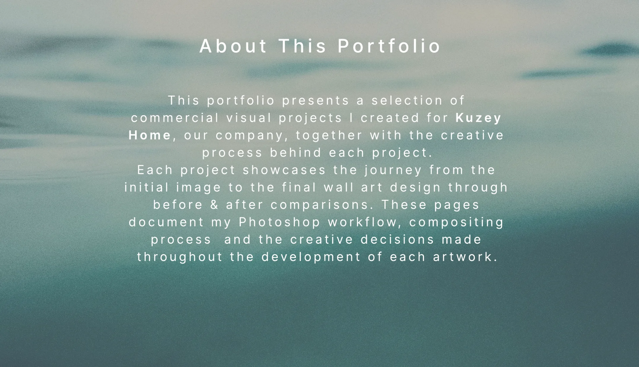 About the portfolio